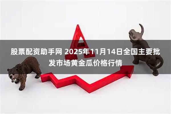 股票配资助手网 2025年11月14日全国主要批发市场黄金瓜价格行情