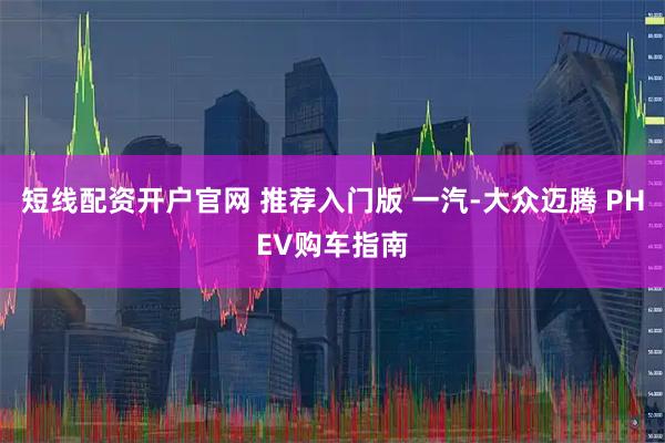 短线配资开户官网 推荐入门版 一汽-大众迈腾 PHEV购车指南